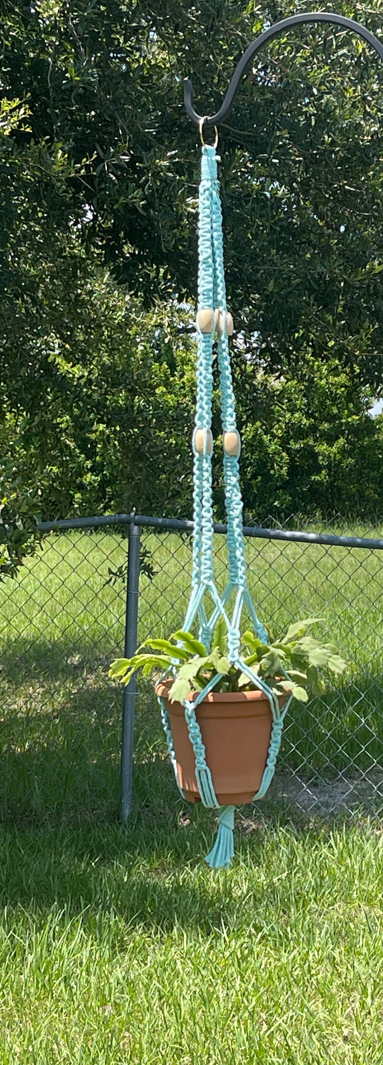 Ocean Depth Plant Hanger